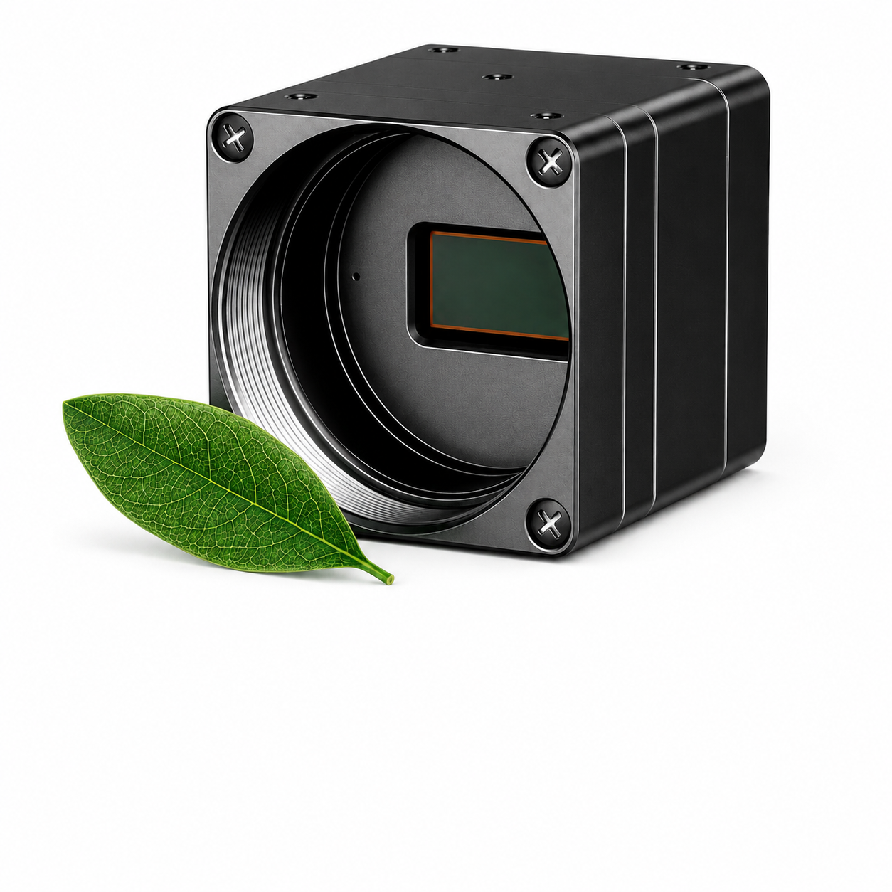 Cameras & Detectors
